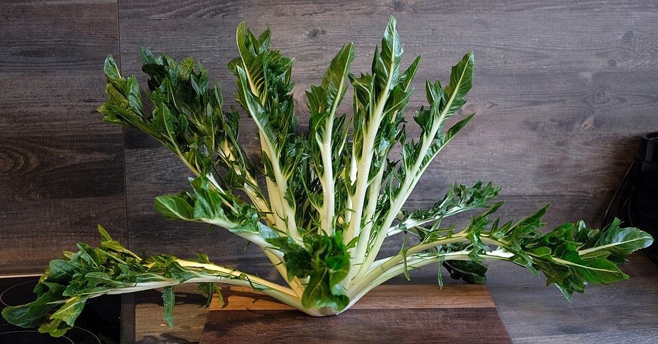 Puntarelle alla romana